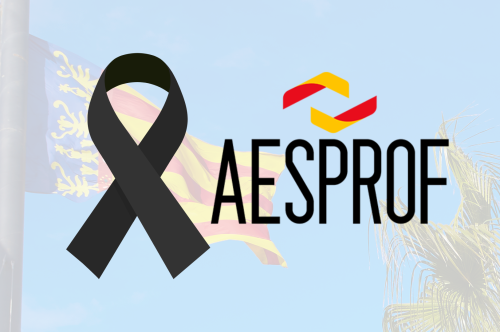 AESPROF expresa su apoyo a las víctimas del trágico incendio de Campanar (Valencia)